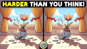 🐢🧩 Spot 3 Differences | Sharpen Your Focus 🧩🐢 | Quizonaut Turtle