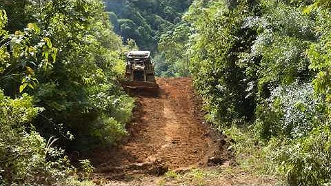The Excellence of the CAT D6R XL Bulldozer Operator in Clearing Forest Paths in a Short Time...!!
