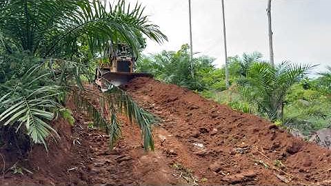 CAT D6R XL Bulldozer Operator Widens Palm Oil Road in Minutes!