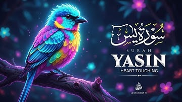 Surah Yasin (Yaseen) سورة يس | Sanfte Stimme | Heile deine Seele und dein Herz mit der wunderschö...
