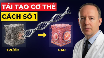 CÁCH SỐ 1 giúp TÁI TẠO cơ thể tự nhiên (theo khoa học) I TS. Alan Goldhamer