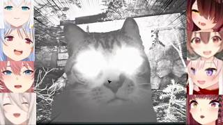 Hololive Girls Reaction To Cat Jumpscare *cute* (Japan Stigmatized Property)