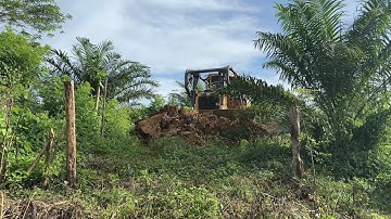 Plantation Road Service Restores Old Roads with D6R XL Bulldozer