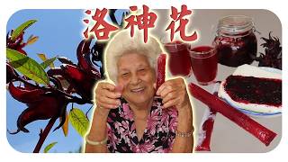 天然的保养品？从饮料到果酱和冰棒，清爽解腻，洛神花营养满满！3 Ways to Use Roselle: Jam, Popsicles & Roselle Drink