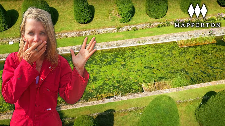 Our 18th Century Pool Nightmare Returns… Is This the End?