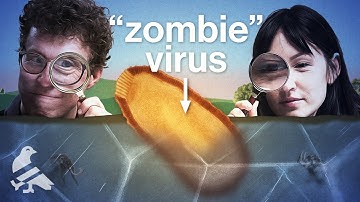 Did we just unfreeze a pandemic?