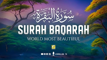 Surah Al Baqarah Full سورة البقره | Ultimate Relaxing Heart Soothing Quran | Zikrullah TV