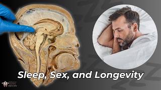 Sleep, Sex, & Longevity: The Power of Melatonin