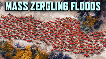 Reynor Is ABSOLUTELY Getting Zerg Nerfed Again.