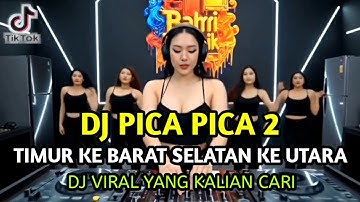 DJ PICA PICA 2 - Timur ke Barat Selatan ke Utara Remix |  Viral Tik Tok 2025