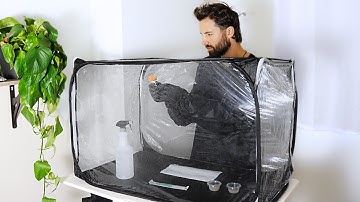 Mushroom Cloning Basics | Beginner Guide