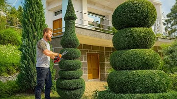 He Cut a Bush… and Made a Perfect Candle!