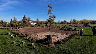 Planting 500 Boxwoods in the Formal Flower Garden (& they are GLORIOUS)!!! 🌿🤩🌿 // Garden Answer