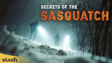 Secrets of the Sasquatch | Documentary | Full Movie | Chilling, Investigative Bigfoot Doc