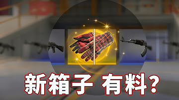 又出新箱子了，聽說裡面很有料！【FunCS2 免費領取2美金 現在福利滿滿！】