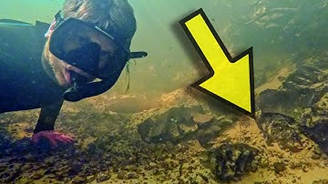 The Unbelievable Journey to Our Best Discovery of 2025