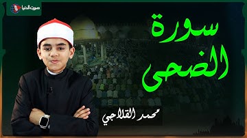 الطفل محمد القلاجي يبدع في تلاوة سورة الضحى وسورة القدر!