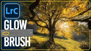 Lightrooms BRUSH TOOL Lets you Create INSANE EFFECTS without Photoshop!