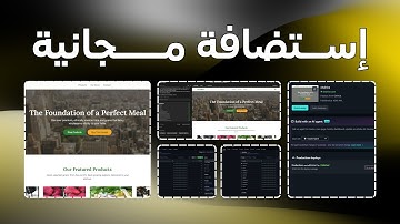 مشروع كامل من Google AI Studio إلى Netlify مجانًا!