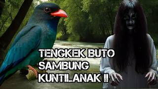 Masteran tengkek buto,tengkek buto vs kuntilanak