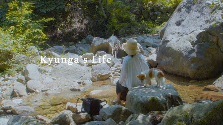 시골 집순이가 여름을 보내는 방법 ☀️🌿
