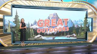 WHEEL OF FORTUNE OCTOBER 21 2025 10/21/25 BONUS PUZZLE, FULL EPISODE Recap & Answers Tuesday