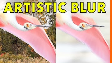 Waarom de meesten van ons de sluitertijd verkeerd gebruiken - en hoe je dit EENVOUDIG kunt oplossen