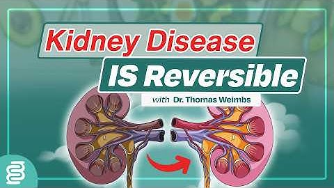 Do We Have Kidney Health All Wrong?