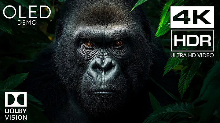 Most Craziest 4K HDR 60FPS Dolby Vision (8K/4K Video TV)