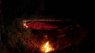 HOW TO SURVIVE A COLD NIGHT IN THE FOREST? BUILDING A SECRET LOG SHELTER. BUSHCRAFT